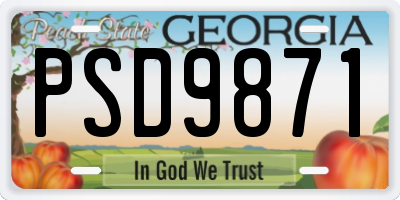 GA license plate PSD9871