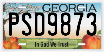 GA license plate PSD9873