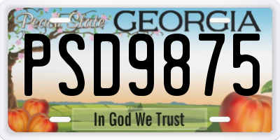 GA license plate PSD9875