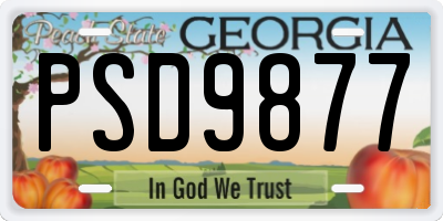 GA license plate PSD9877