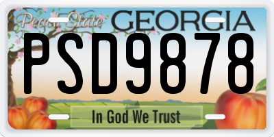 GA license plate PSD9878
