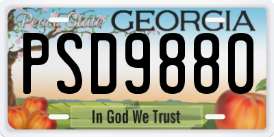 GA license plate PSD9880