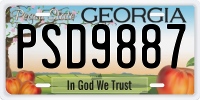 GA license plate PSD9887