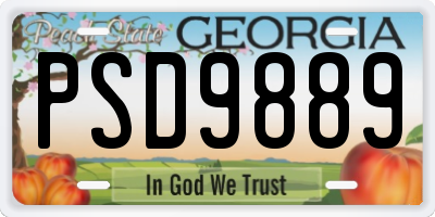 GA license plate PSD9889