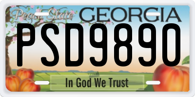 GA license plate PSD9890