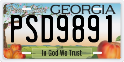 GA license plate PSD9891