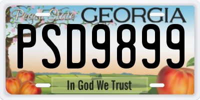 GA license plate PSD9899