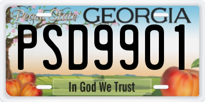 GA license plate PSD9901