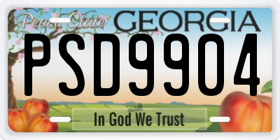 GA license plate PSD9904