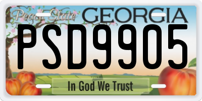 GA license plate PSD9905