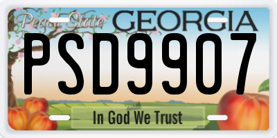 GA license plate PSD9907