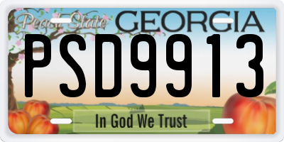 GA license plate PSD9913