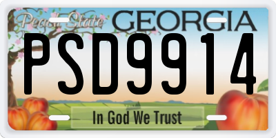 GA license plate PSD9914