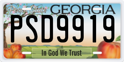GA license plate PSD9919