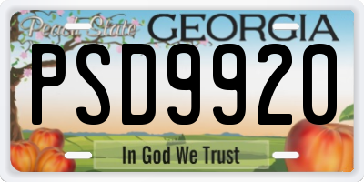 GA license plate PSD9920
