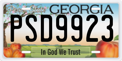 GA license plate PSD9923