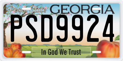 GA license plate PSD9924