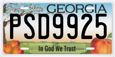 GA license plate PSD9925