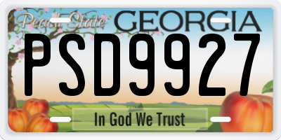 GA license plate PSD9927