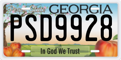 GA license plate PSD9928