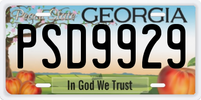 GA license plate PSD9929