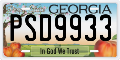 GA license plate PSD9933
