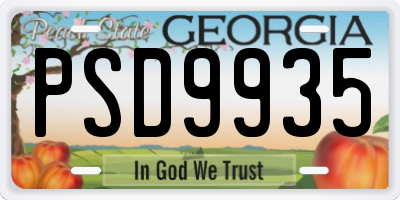 GA license plate PSD9935
