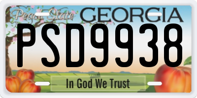 GA license plate PSD9938