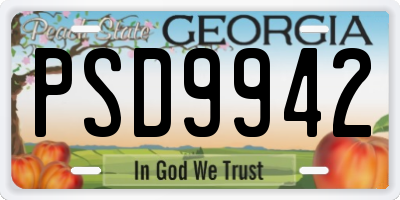 GA license plate PSD9942