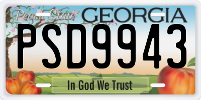 GA license plate PSD9943