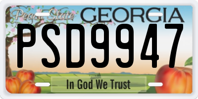 GA license plate PSD9947