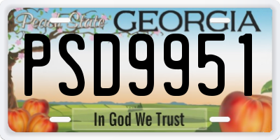 GA license plate PSD9951