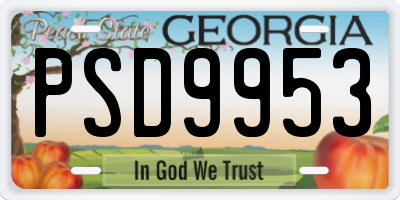 GA license plate PSD9953