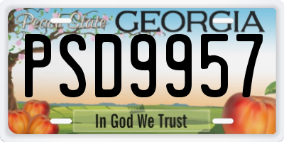 GA license plate PSD9957