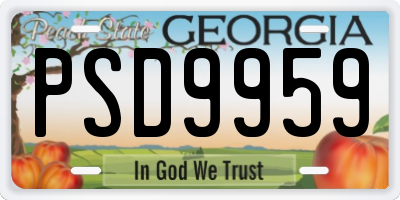 GA license plate PSD9959