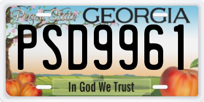 GA license plate PSD9961