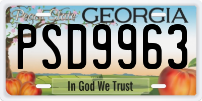 GA license plate PSD9963
