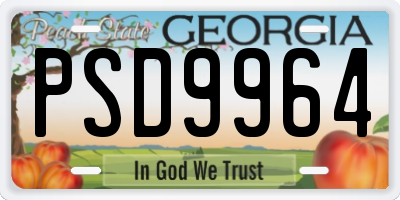 GA license plate PSD9964