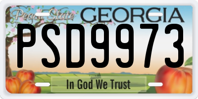 GA license plate PSD9973