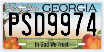 GA license plate PSD9974