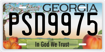 GA license plate PSD9975