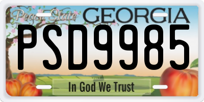 GA license plate PSD9985