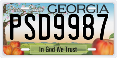 GA license plate PSD9987