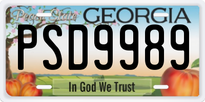 GA license plate PSD9989