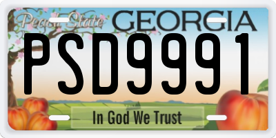 GA license plate PSD9991