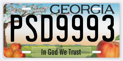 GA license plate PSD9993