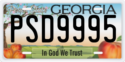 GA license plate PSD9995