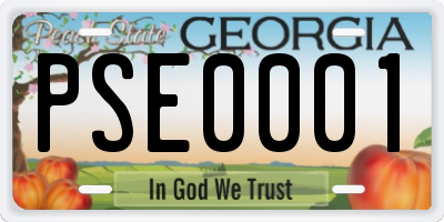 GA license plate PSE0001