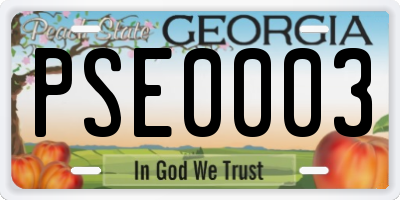 GA license plate PSE0003