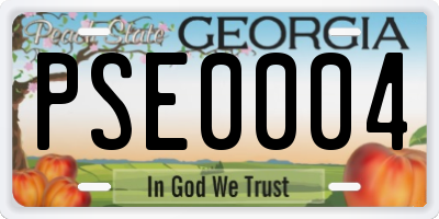 GA license plate PSE0004